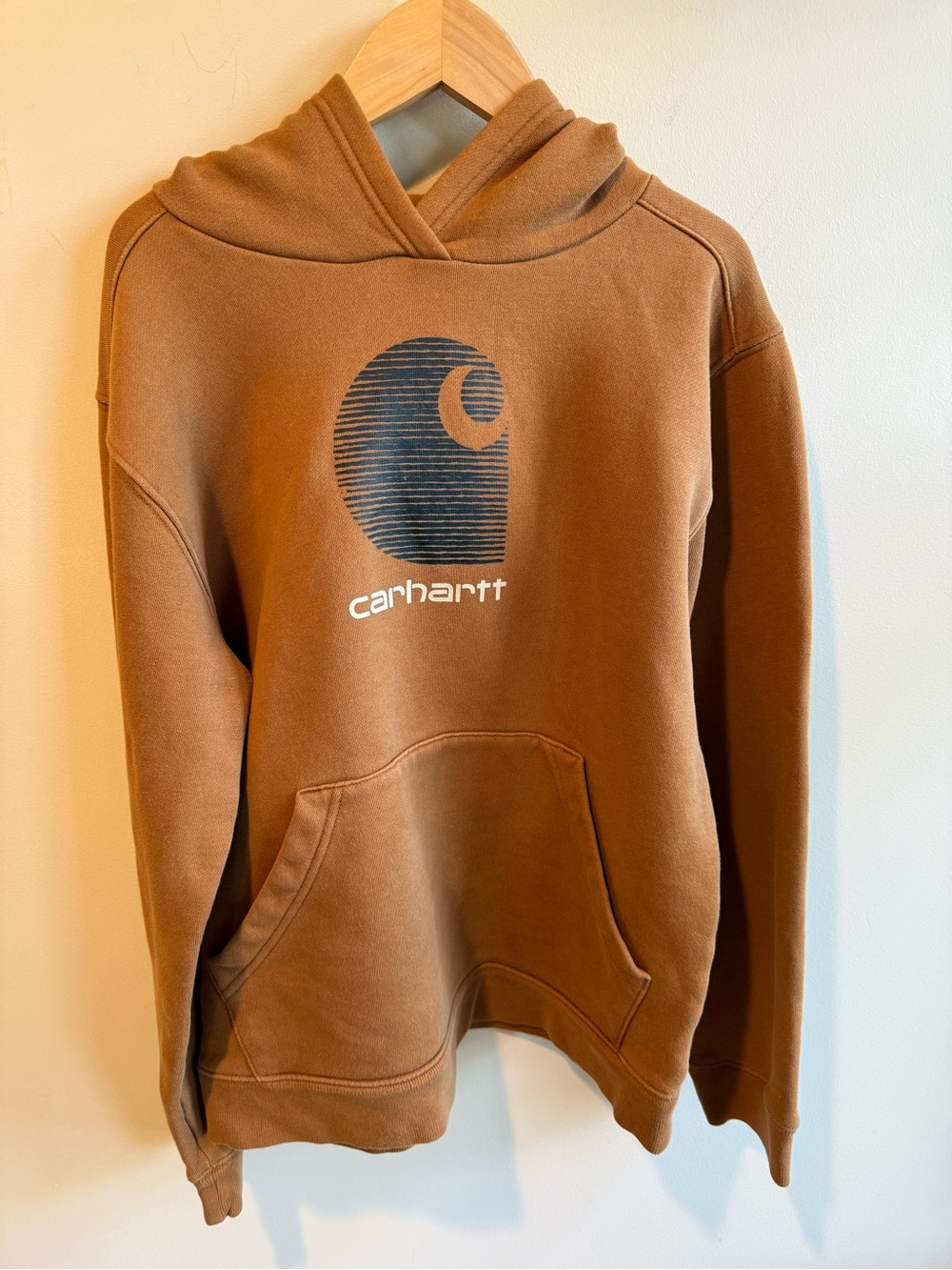 Carhartt Brown Fleece Lined Hoodie Sweatshirt, Boys size Lg (14-16)